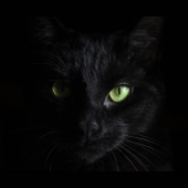 BlackCat ALPHV ransomware