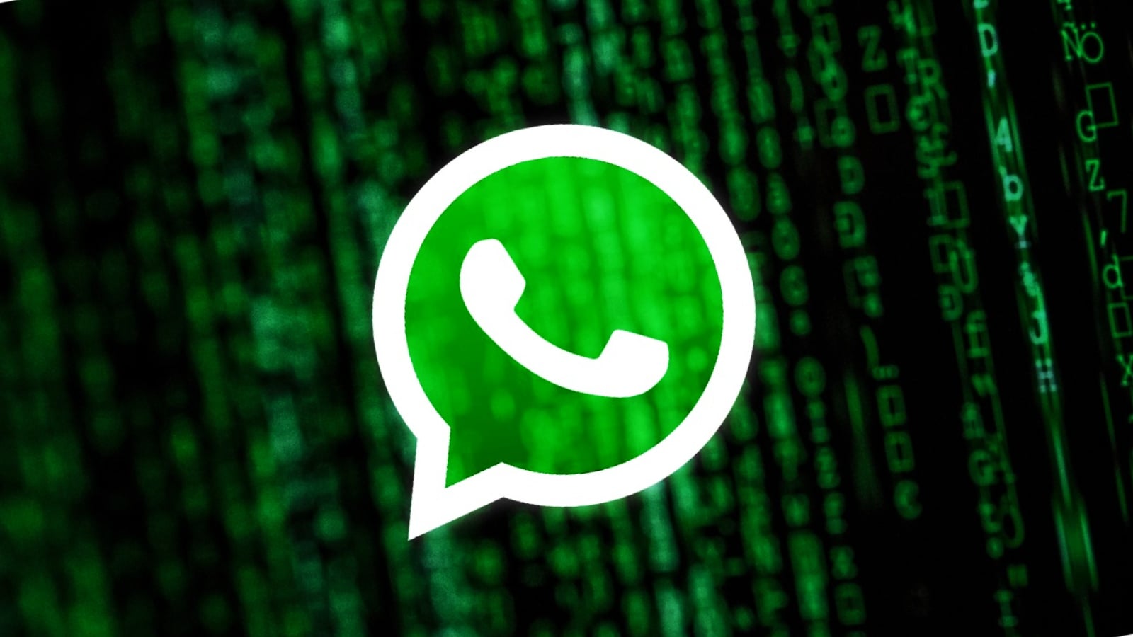 Malicious npm package steals WhatsApp accounts and messages